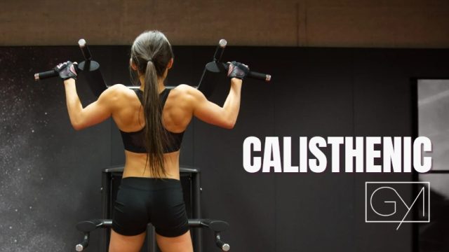 calisthenics gym