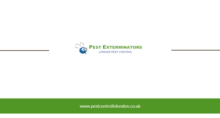 pest-extermintors